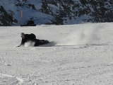 Pics75